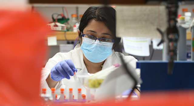 Binita Chakraborty, PhD