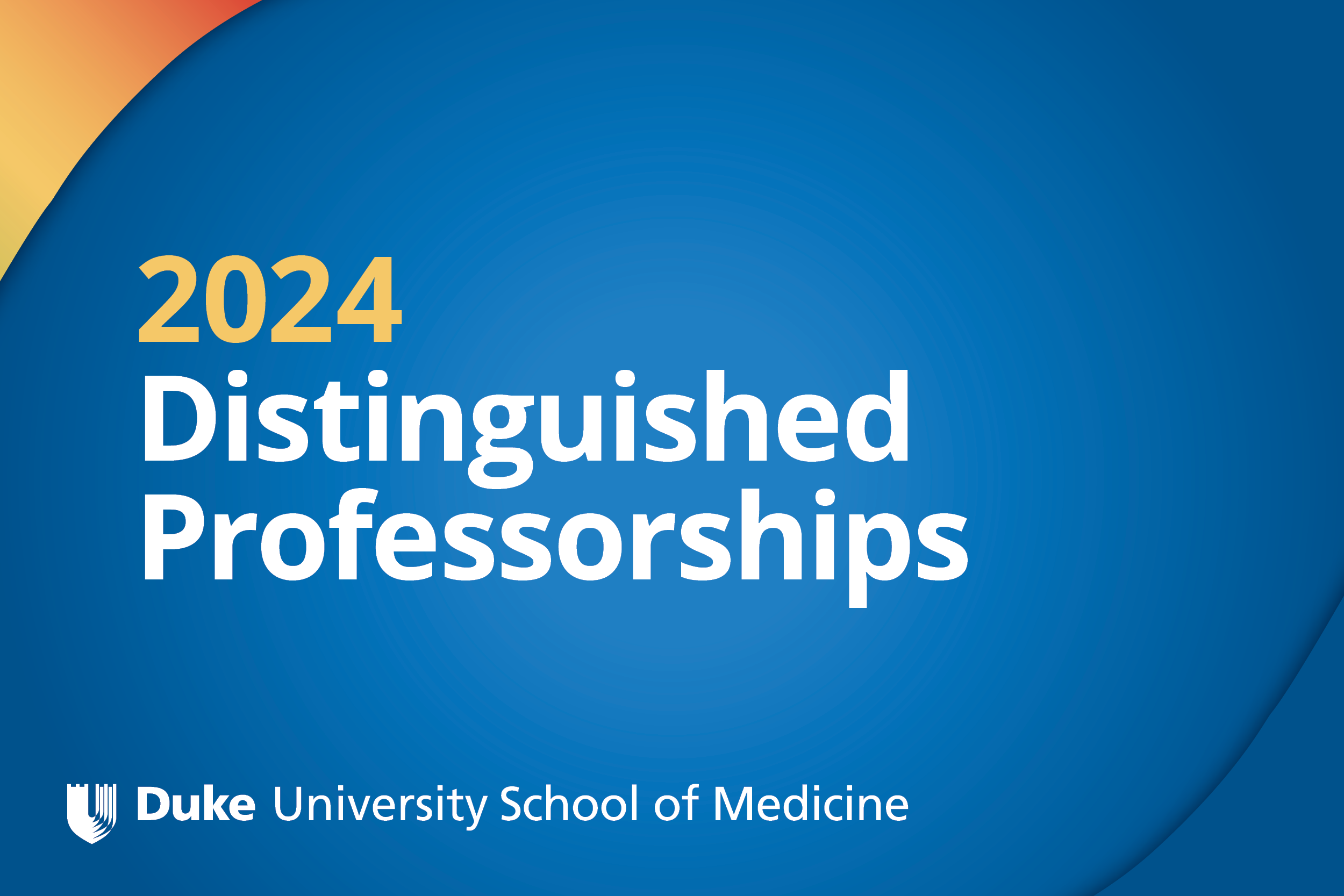 2024 Distinguished Professorships