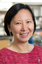 Xunrong Luo, MD, PhD 