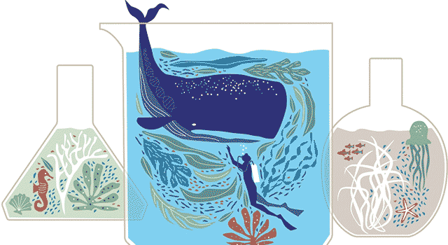Illustration of whale and sea life in test beakers