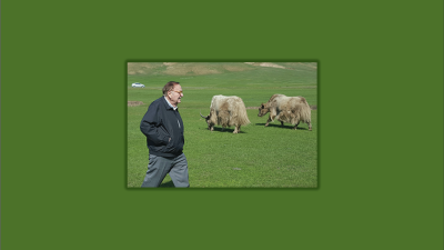 T. Rudolph “Rudy” Howell walking on his farm with cattle in the background