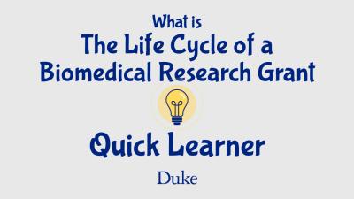 Graphic with lightbulb that says, "What is the Life Cycle of a Biomedical Research Grant? Quick Learner"