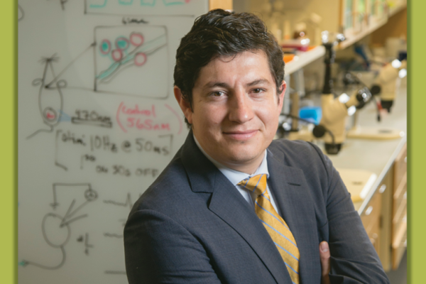 Diego Bohórquez, PhD