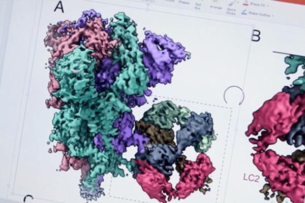 Illustration of the COVID virus