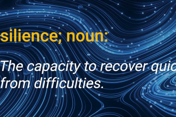 resilience; noun: The capacity to recover quickly from difficulties
