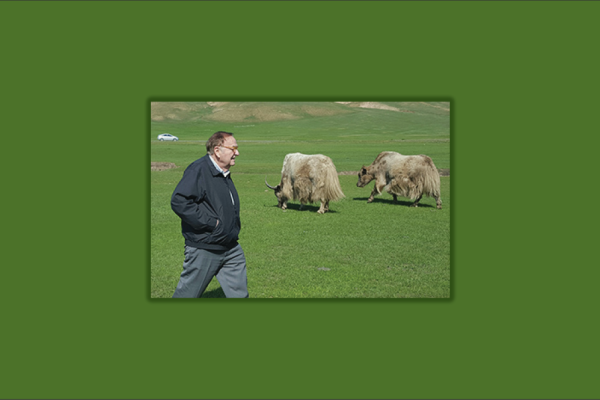 T. Rudolph “Rudy” Howell walking on his farm with cattle in the background