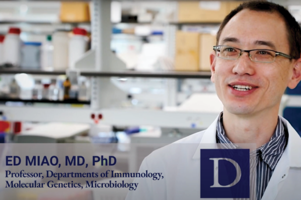 Ed Miao, MD, PhD