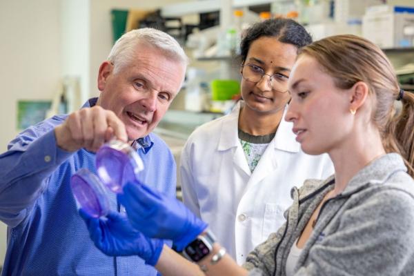 McDonnell discusses research with postdoctoral fellow Vaishnavi Subramanyan, PhD, and graduate student Jill Caiazzi. 