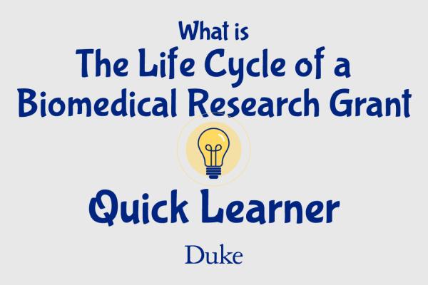 Graphic with lightbulb that says, "What is the Life Cycle of a Biomedical Research Grant? Quick Learner"