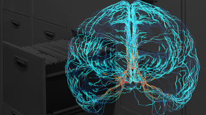Brain image