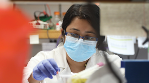 BINITA CHAKRABORTY, PHD