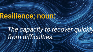 resilience; noun: The capacity to recover quickly from difficulties