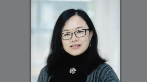 Liping Feng, MD