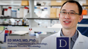Ed Miao, MD, PhD