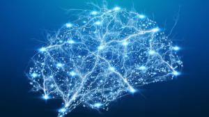 Illustration of the brain
