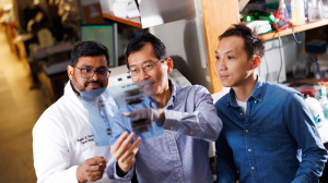 Rajeshkumar Manne, PhD, Hui-Kuan Lin, PhD, and Che-Chia Hsu, PhD