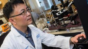 Ru-Rong Ji, PhD, in his lab