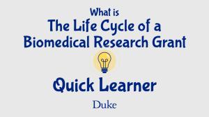 Graphic with lightbulb that says, "What is the Life Cycle of a Biomedical Research Grant? Quick Learner"