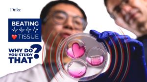 Scientist with petri dish with heart shapes in it with text "Beating Tissue. Why Do You Study That?"