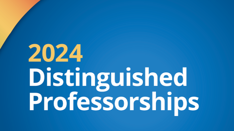 2024 Distinguished Professorship banner