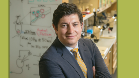 Diego Bohórquez, PhD