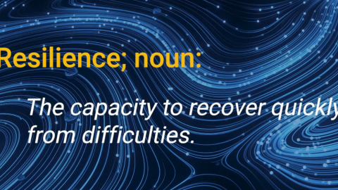 resilience; noun: The capacity to recover quickly from difficulties