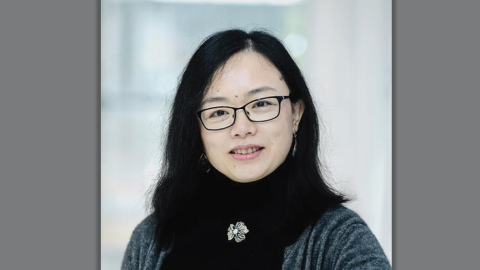 Liping Feng, MD