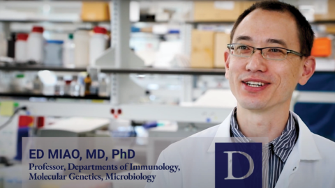 Ed Miao, MD, PhD