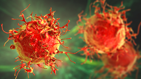 rendering of melanoma cells