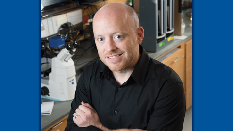 Kris Wood, PhD