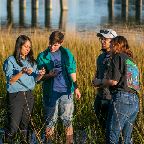 Researchers in a marsh