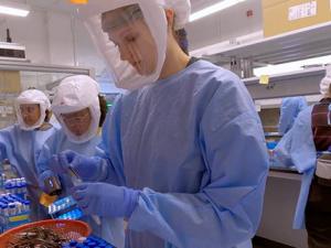 staff working a the Duke Human Vaccine Institute's in-house test processing lab.