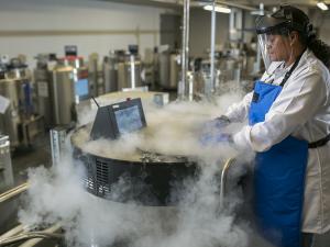 Researcher with deep freezer in lab