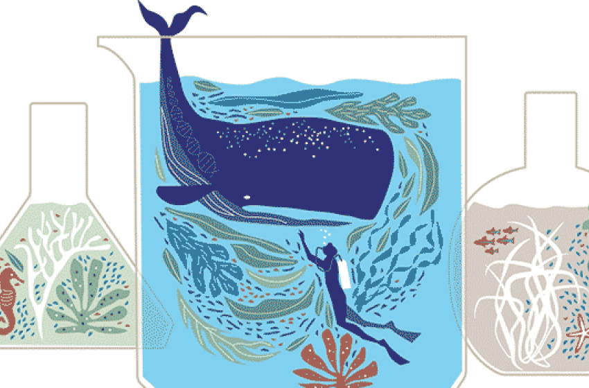 Illustration of whale and sea life in test beakers