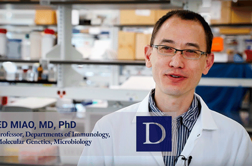 Duke's Ed Miao, MD, PhD